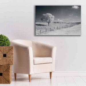 'Trees Fence I' by Debra Van Swearingen, Canvas Wall Art,40 x 26