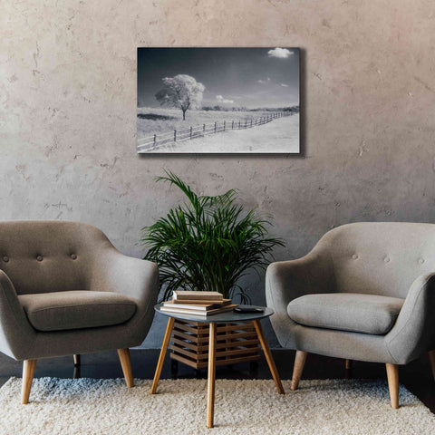 Image of 'Trees Fence I' by Debra Van Swearingen, Canvas Wall Art,40 x 26