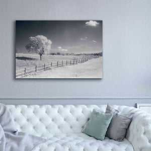 'Trees Fence I' by Debra Van Swearingen, Canvas Wall Art,60 x 40