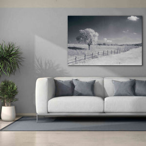 'Trees Fence I' by Debra Van Swearingen, Canvas Wall Art,60 x 40