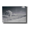 'Trees Fence I' by Debra Van Swearingen, Canvas Wall Art,18x12x1.1x0,26x18x1.1x0,40x26x1.74x0,60x40x1.74x0