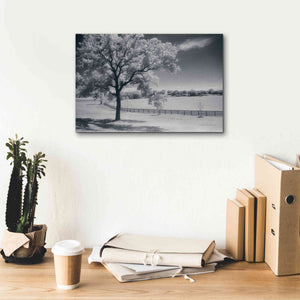 'Trees Fence II' by Debra Van Swearingen, Canvas Wall Art,18 x 12