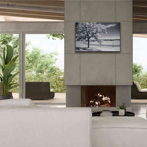 'Trees Fence II' by Debra Van Swearingen, Canvas Wall Art,40 x 26