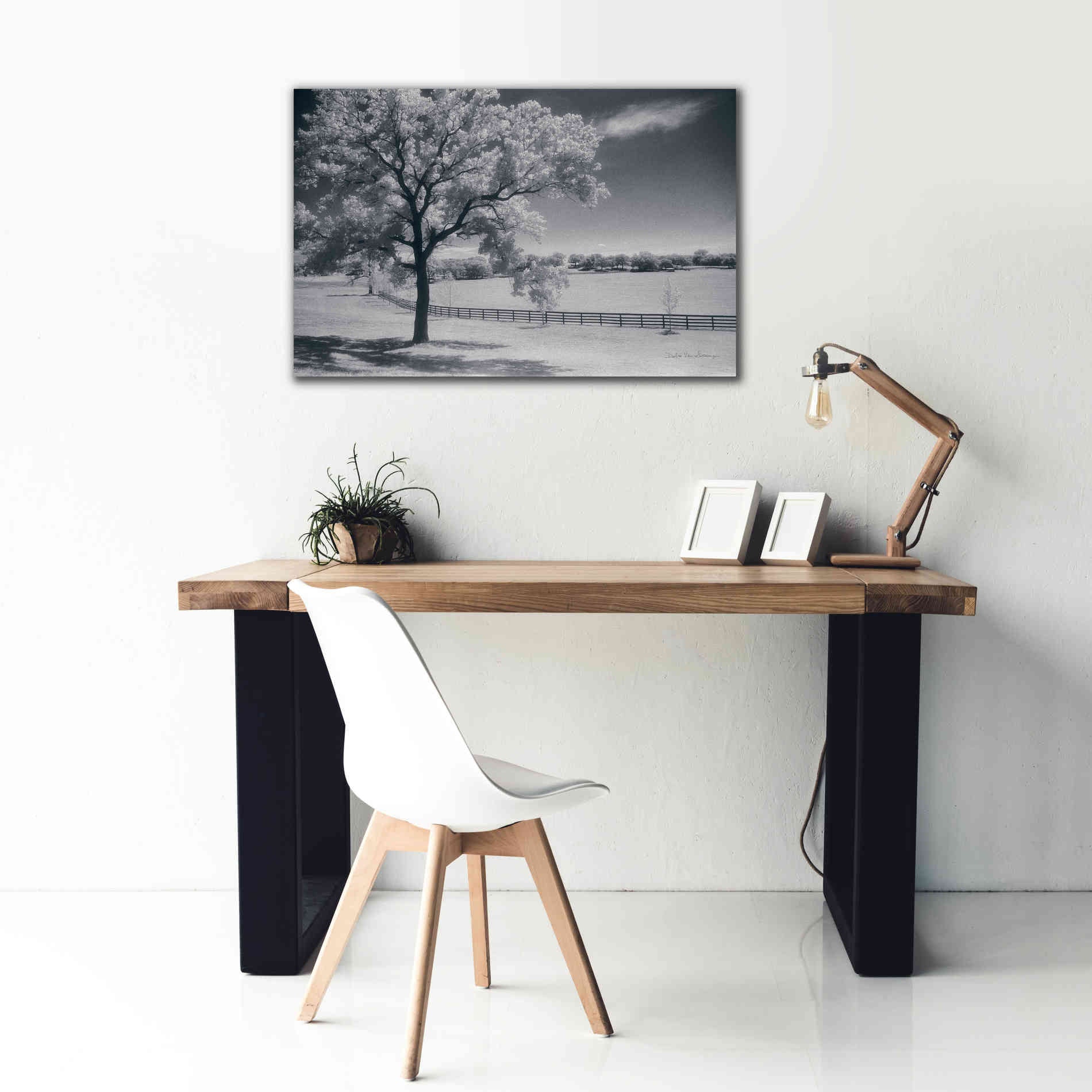 'Trees Fence II' by Debra Van Swearingen, Canvas Wall Art,40 x 26