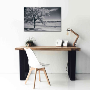 'Trees Fence II' by Debra Van Swearingen, Canvas Wall Art,40 x 26