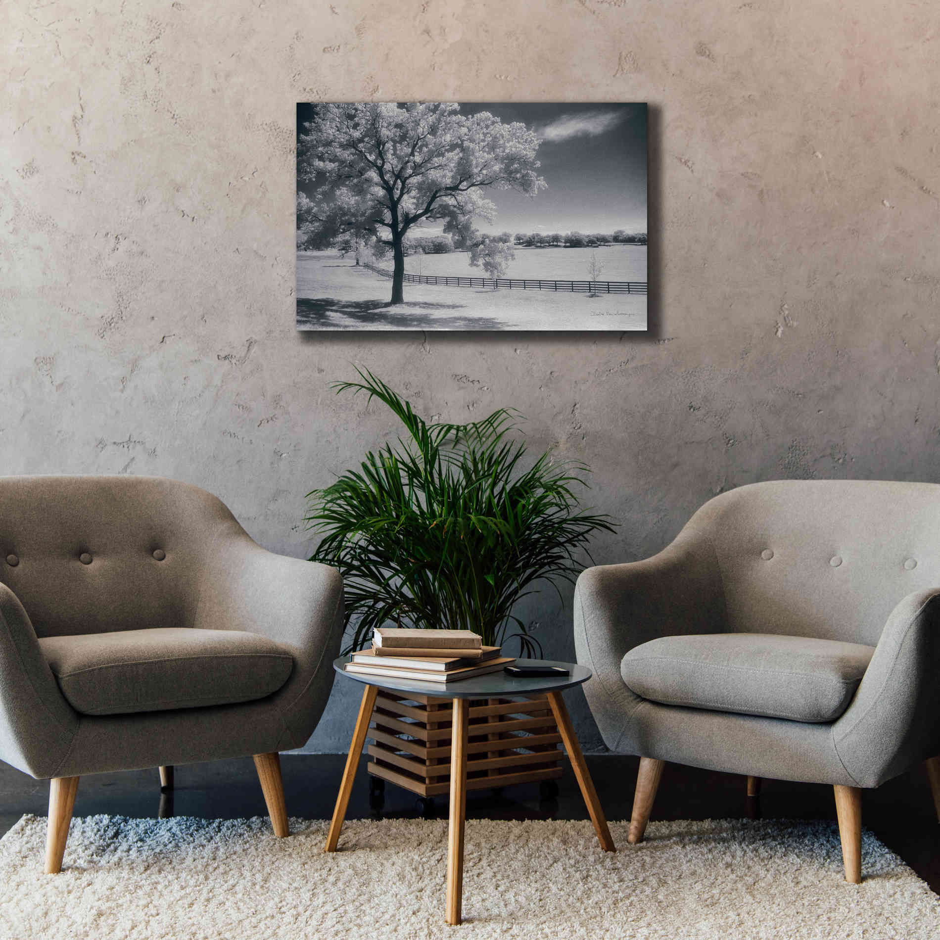 'Trees Fence II' by Debra Van Swearingen, Canvas Wall Art,40 x 26