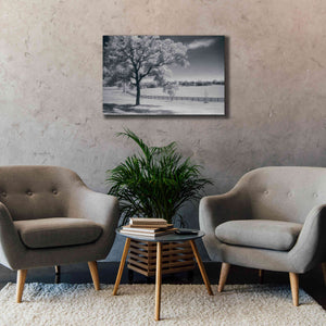 'Trees Fence II' by Debra Van Swearingen, Canvas Wall Art,40 x 26