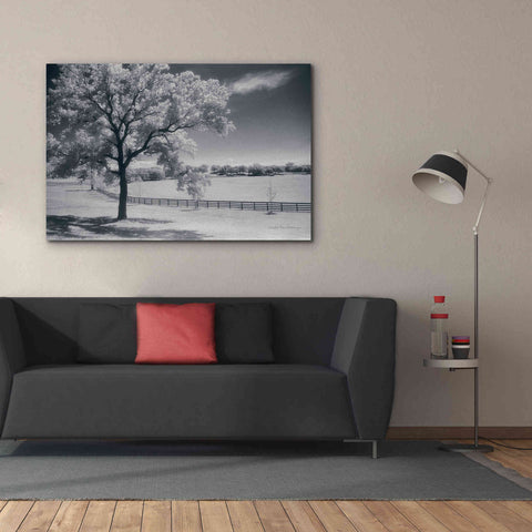 Image of 'Trees Fence II' by Debra Van Swearingen, Canvas Wall Art,60 x 40