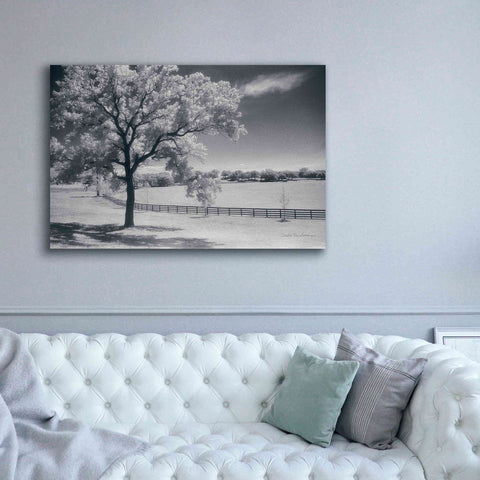 Image of 'Trees Fence II' by Debra Van Swearingen, Canvas Wall Art,60 x 40