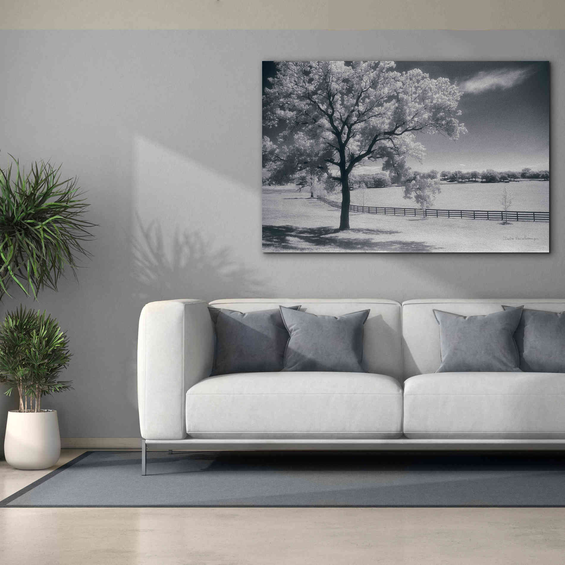 'Trees Fence II' by Debra Van Swearingen, Canvas Wall Art,60 x 40