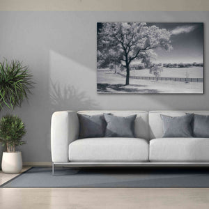 'Trees Fence II' by Debra Van Swearingen, Canvas Wall Art,60 x 40