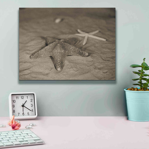 Image of 'Starfish II' by Debra Van Swearingen, Canvas Wall Art,16 x 12