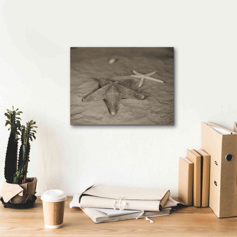 Image of 'Starfish II' by Debra Van Swearingen, Canvas Wall Art,16 x 12