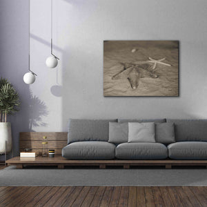 'Starfish II' by Debra Van Swearingen, Canvas Wall Art,54 x 40