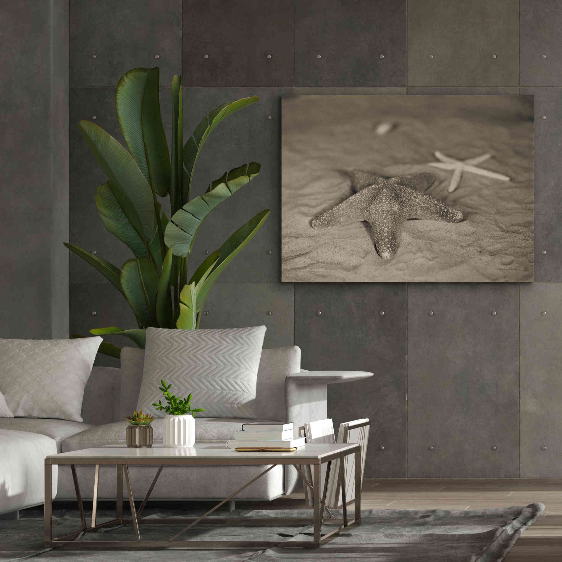 'Starfish II' by Debra Van Swearingen, Canvas Wall Art,54 x 40