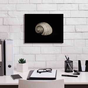'Tonna' by Debra Van Swearingen, Canvas Wall Art,16 x 12