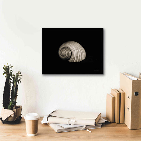 Image of 'Tonna' by Debra Van Swearingen, Canvas Wall Art,16 x 12