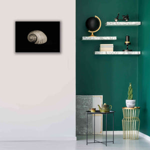 'Tonna' by Debra Van Swearingen, Canvas Wall Art,26 x 18