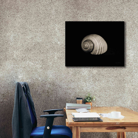 Image of 'Tonna' by Debra Van Swearingen, Canvas Wall Art,34 x 26