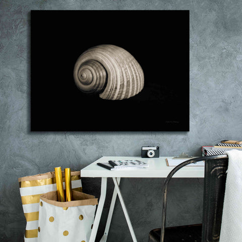 Image of 'Tonna' by Debra Van Swearingen, Canvas Wall Art,34 x 26