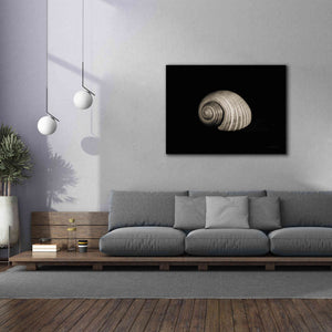 'Tonna' by Debra Van Swearingen, Canvas Wall Art,54 x 40
