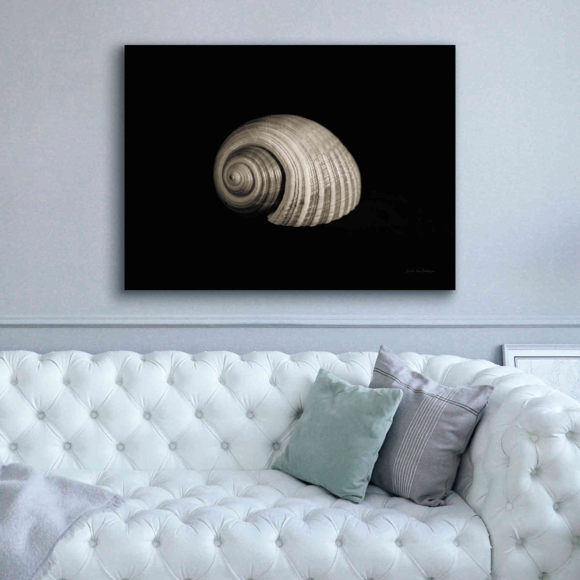 'Tonna' by Debra Van Swearingen, Canvas Wall Art,54 x 40