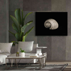 'Tonna' by Debra Van Swearingen, Canvas Wall Art,54 x 40