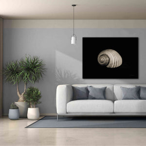 'Tonna' by Debra Van Swearingen, Canvas Wall Art,54 x 40