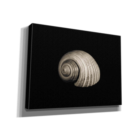 Image of 'Tonna' by Debra Van Swearingen, Canvas Wall Art,16x12x1.1x0,26x18x1.1x0,34x26x1.74x0,54x40x1.74x0