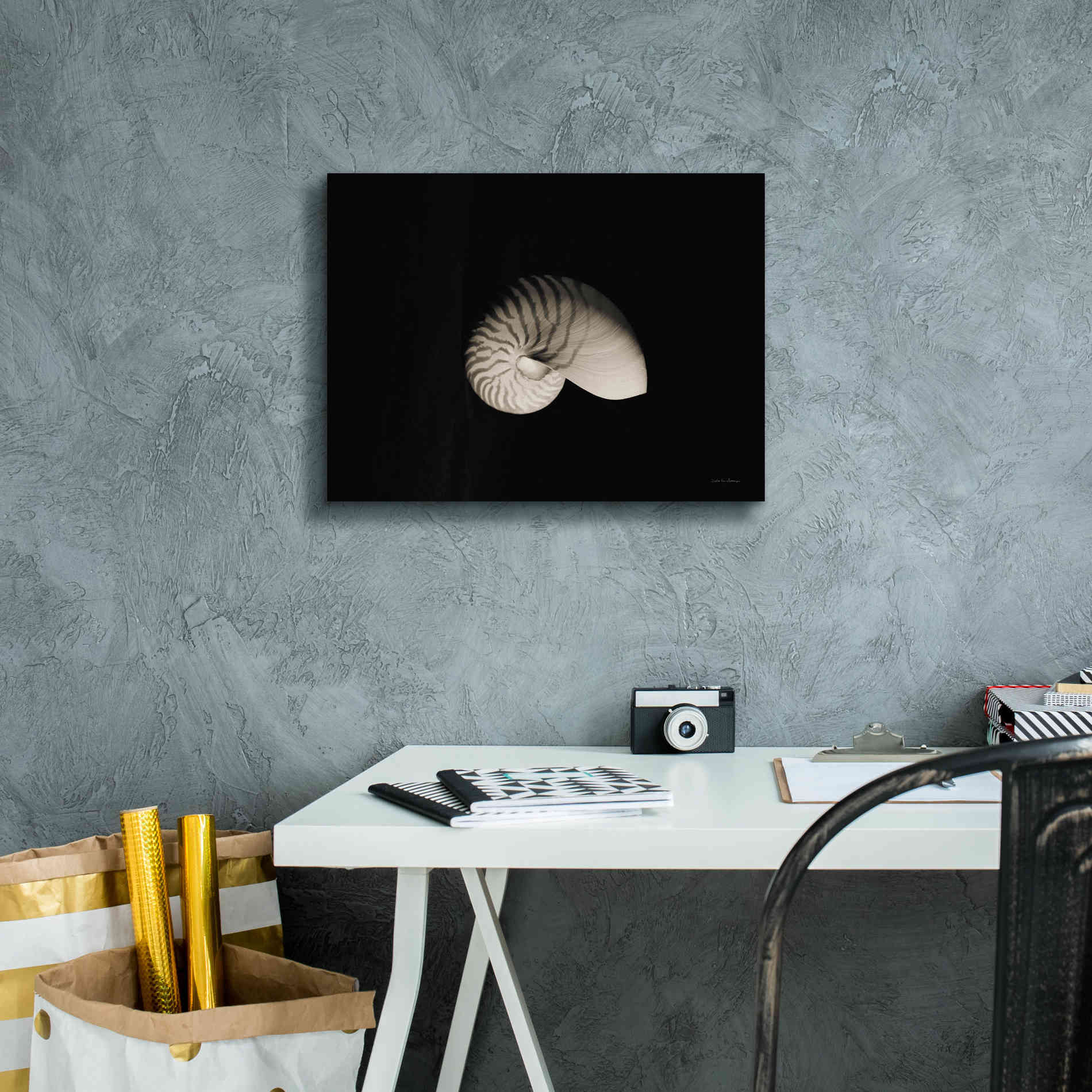 'Nautilus I' by Debra Van Swearingen, Canvas Wall Art,16 x 12
