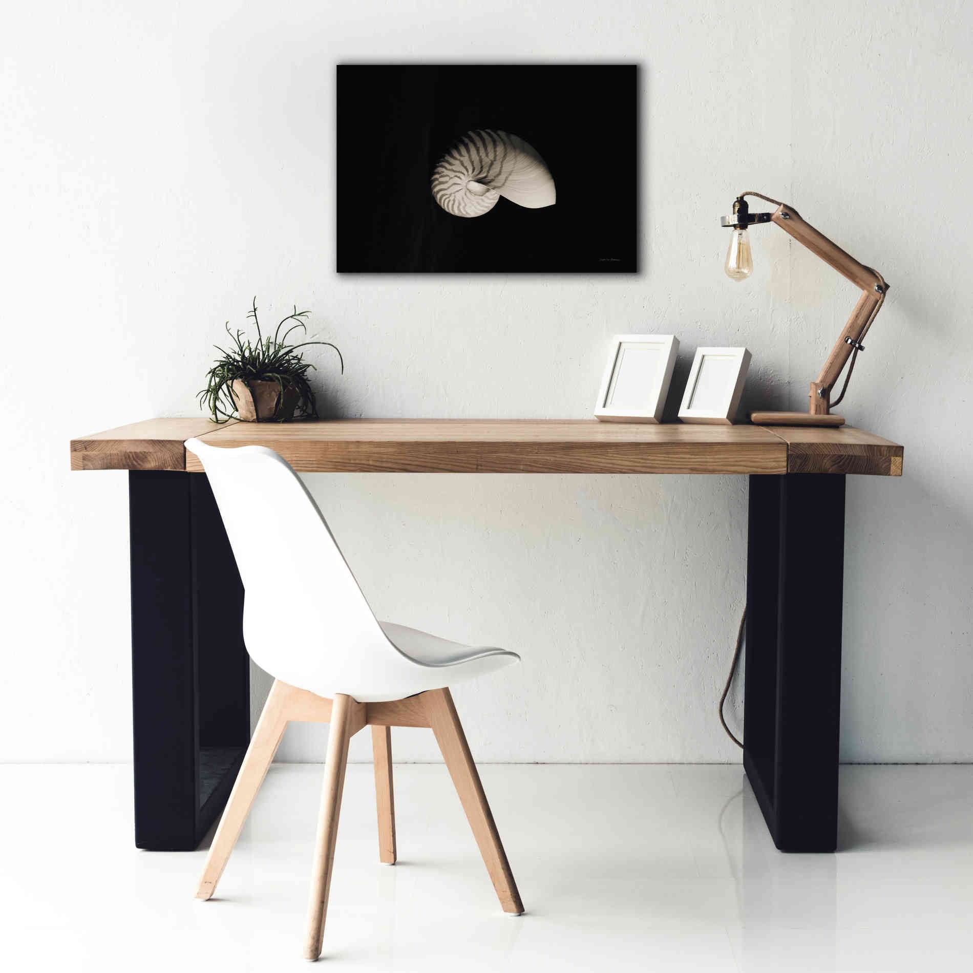 'Nautilus I' by Debra Van Swearingen, Canvas Wall Art,26 x 18