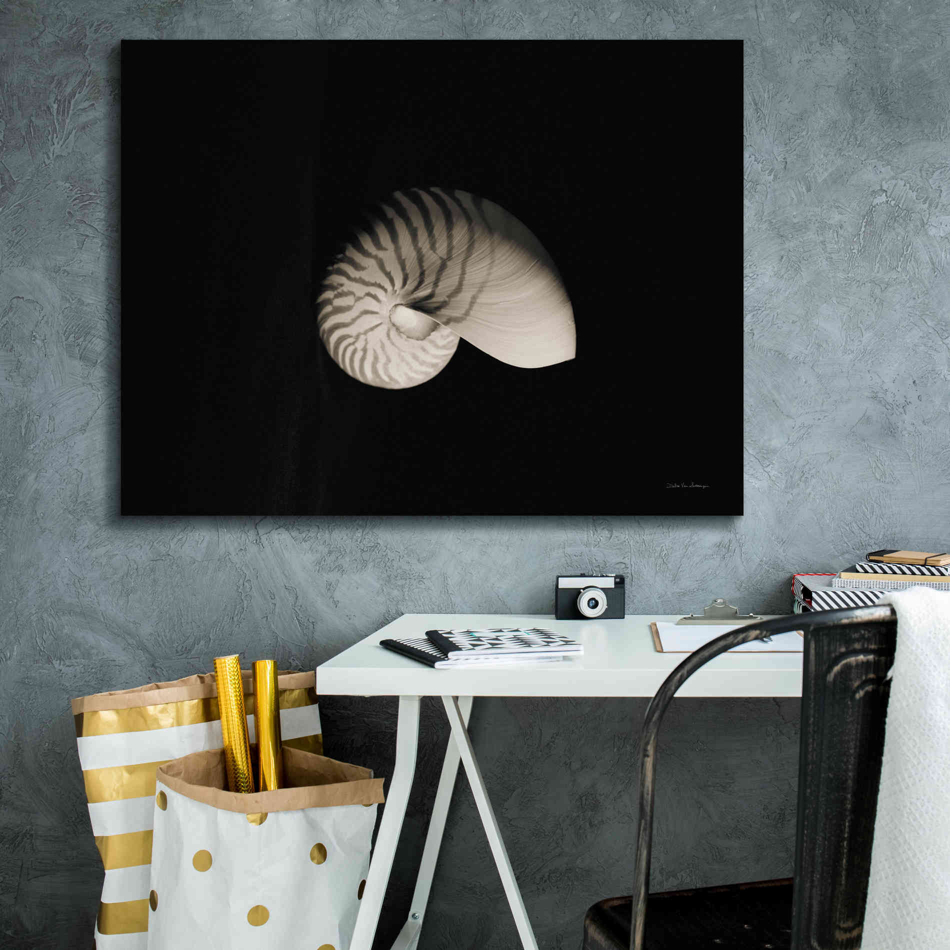 'Nautilus I' by Debra Van Swearingen, Canvas Wall Art,34 x 26