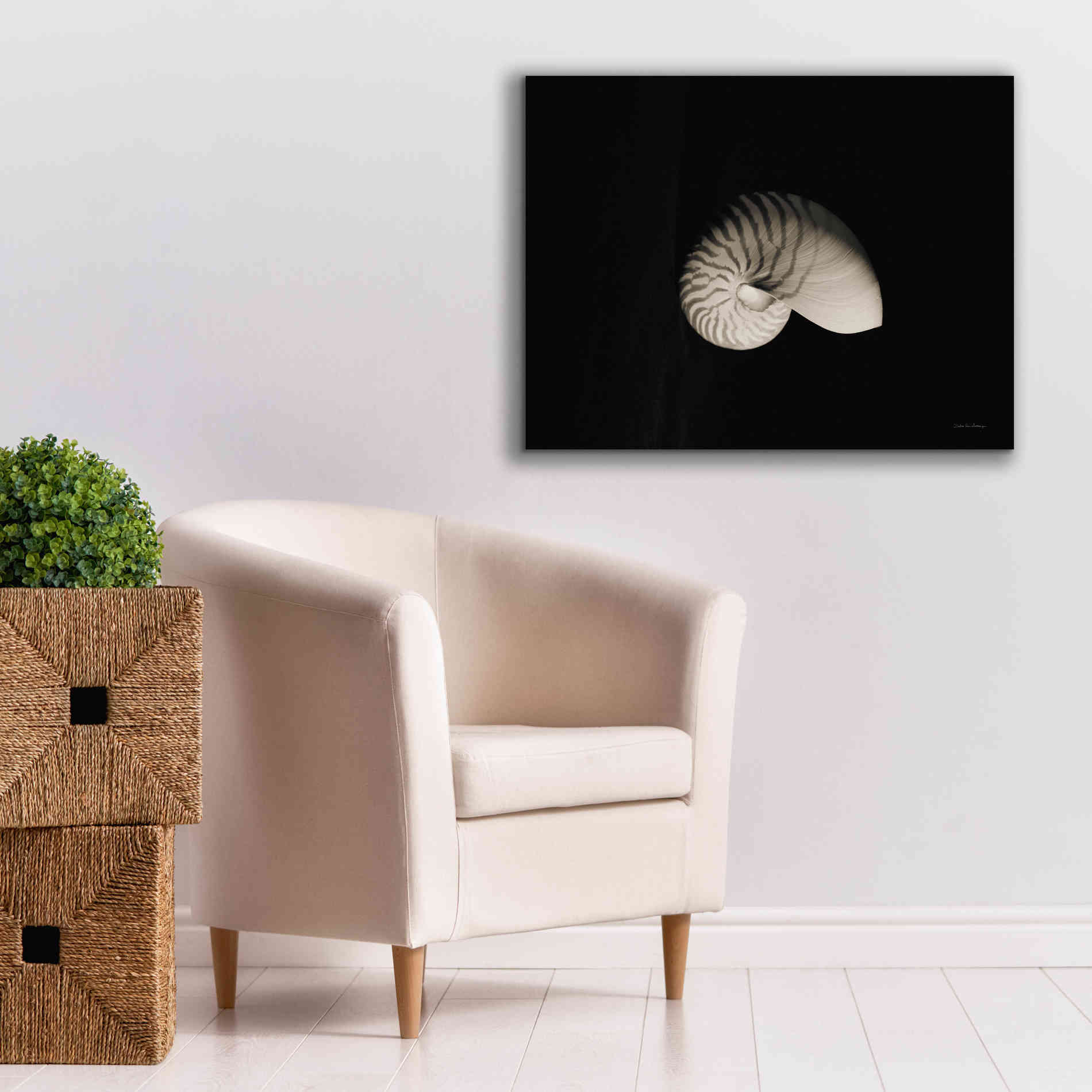'Nautilus I' by Debra Van Swearingen, Canvas Wall Art,34 x 26