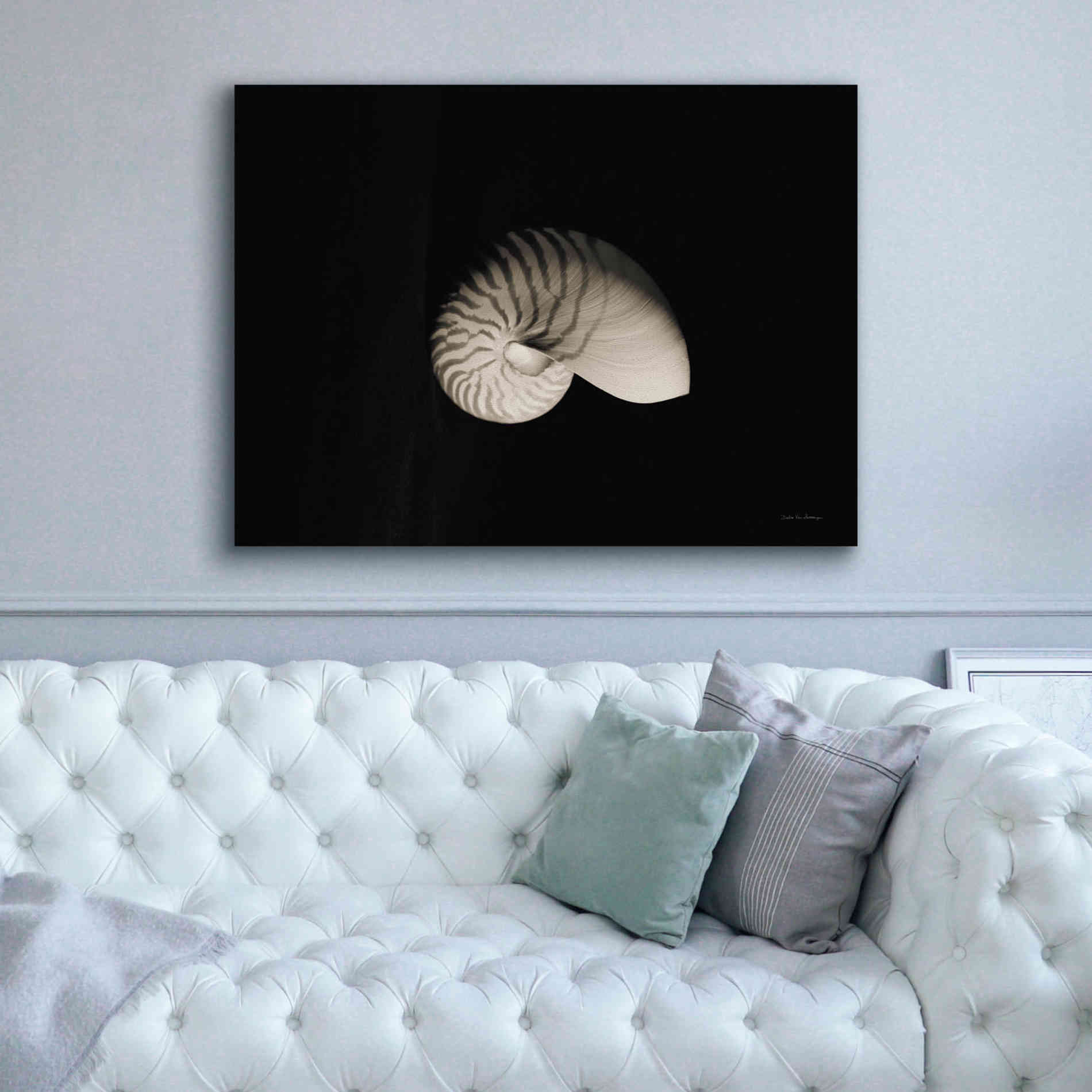 'Nautilus I' by Debra Van Swearingen, Canvas Wall Art,54 x 40