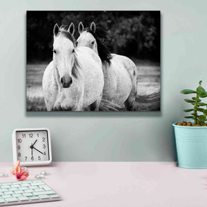 'Two Wild Horses BW' by Debra Van Swearingen, Canvas Wall Art,16 x 12
