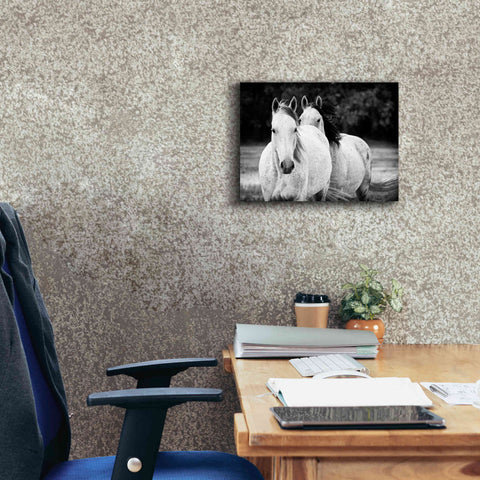 Image of 'Two Wild Horses BW' by Debra Van Swearingen, Canvas Wall Art,16 x 12