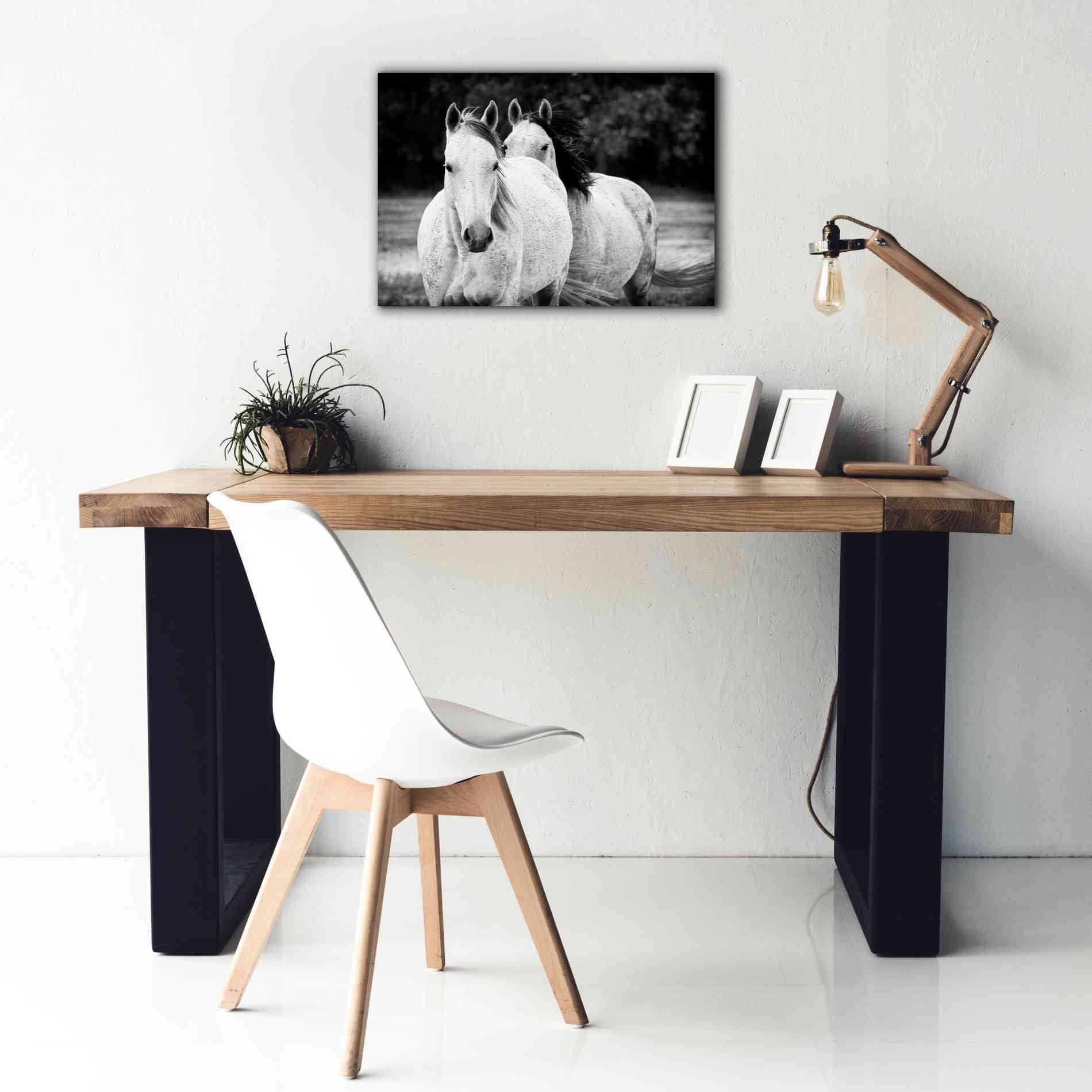 'Two Wild Horses BW' by Debra Van Swearingen, Canvas Wall Art,26 x 18