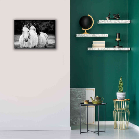Image of 'Two Wild Horses BW' by Debra Van Swearingen, Canvas Wall Art,26 x 18