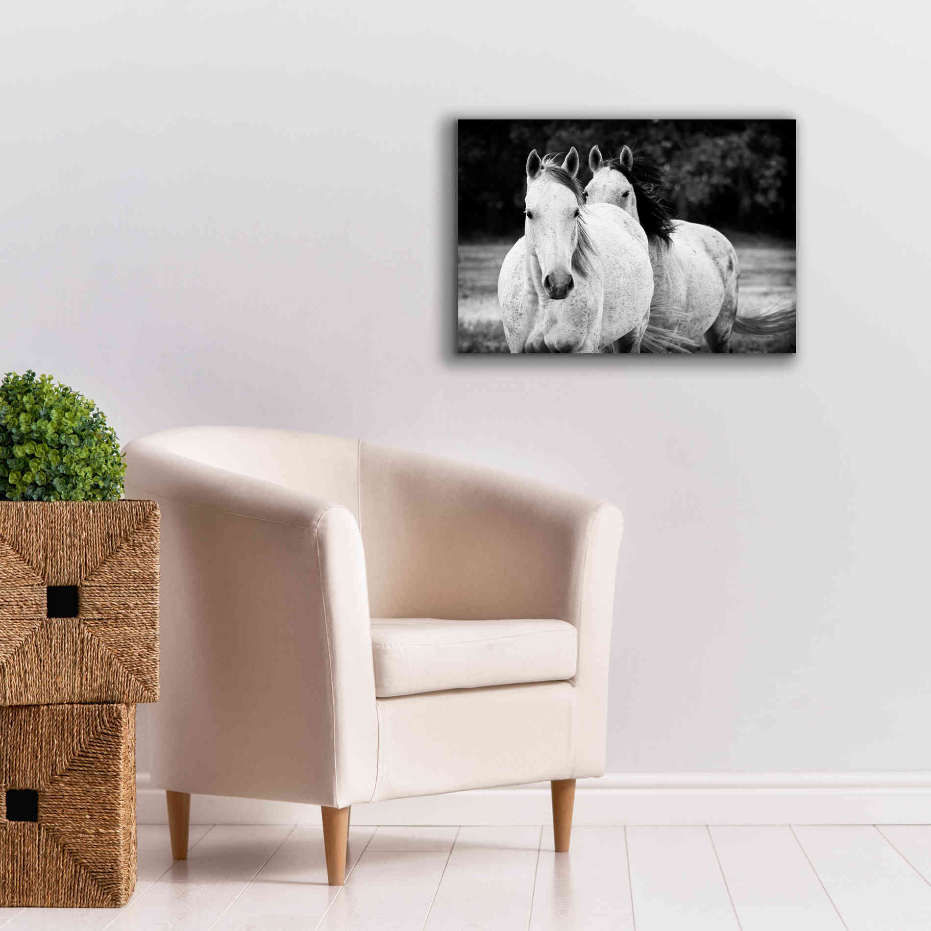 'Two Wild Horses BW' by Debra Van Swearingen, Canvas Wall Art,26 x 18