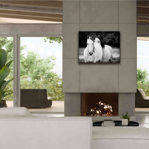 Image of 'Two Wild Horses BW' by Debra Van Swearingen, Canvas Wall Art,34 x 26