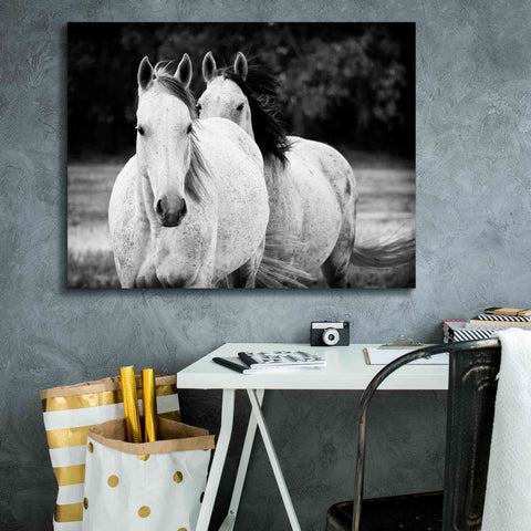 Image of 'Two Wild Horses BW' by Debra Van Swearingen, Canvas Wall Art,34 x 26