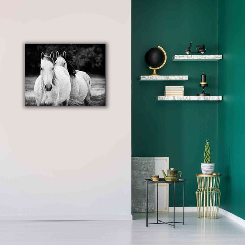Image of 'Two Wild Horses BW' by Debra Van Swearingen, Canvas Wall Art,34 x 26