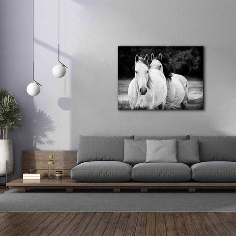 Image of 'Two Wild Horses BW' by Debra Van Swearingen, Canvas Wall Art,54 x 40