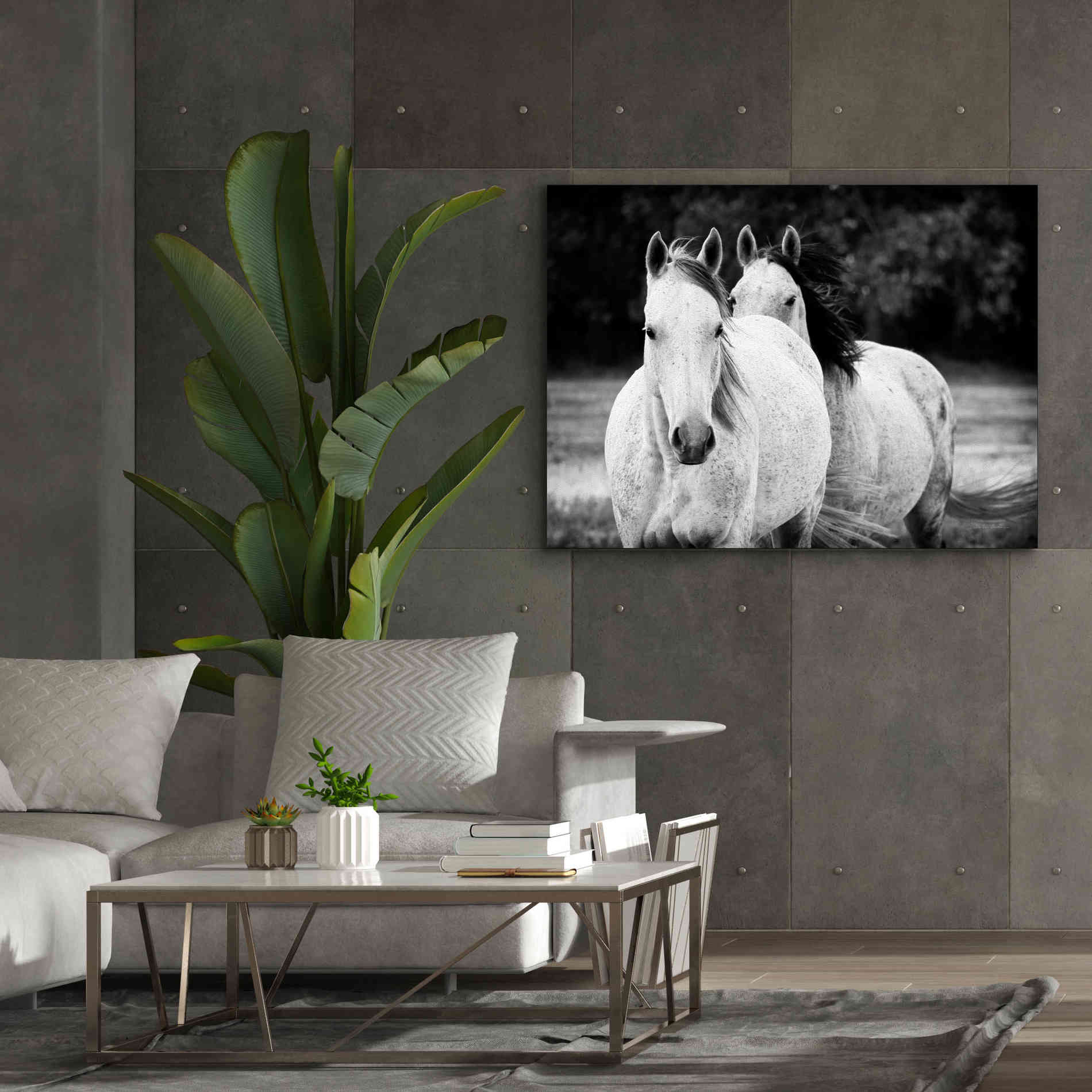 'Two Wild Horses BW' by Debra Van Swearingen, Canvas Wall Art,54 x 40