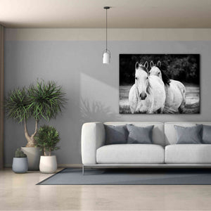 'Two Wild Horses BW' by Debra Van Swearingen, Canvas Wall Art,54 x 40