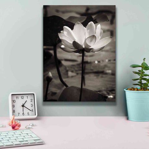 Image of 'Lotus Flower IX' by Debra Van Swearingen, Canvas Wall Art,12 x 16