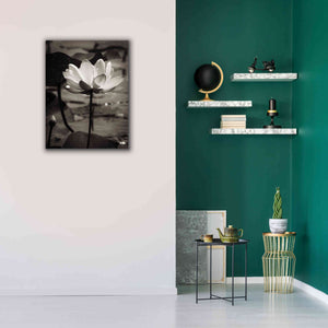 'Lotus Flower IX' by Debra Van Swearingen, Canvas Wall Art,26 x 34
