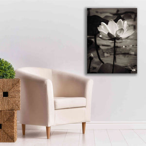 'Lotus Flower IX' by Debra Van Swearingen, Canvas Wall Art,26 x 34