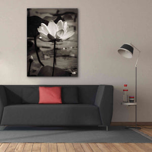 'Lotus Flower IX' by Debra Van Swearingen, Canvas Wall Art,40 x 54