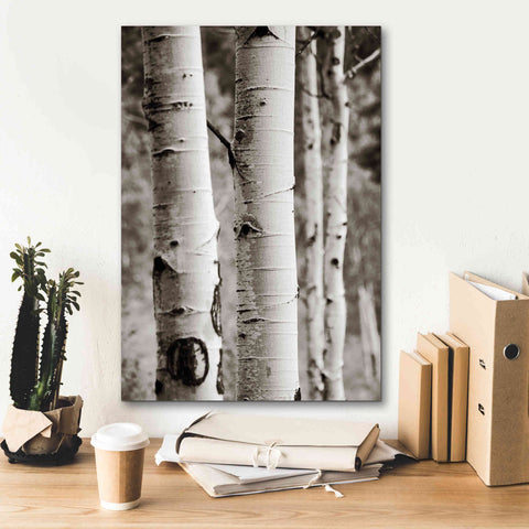 Image of 'Aspens I' by Debra Van Swearingen, Canvas Wall Art,18 x 26